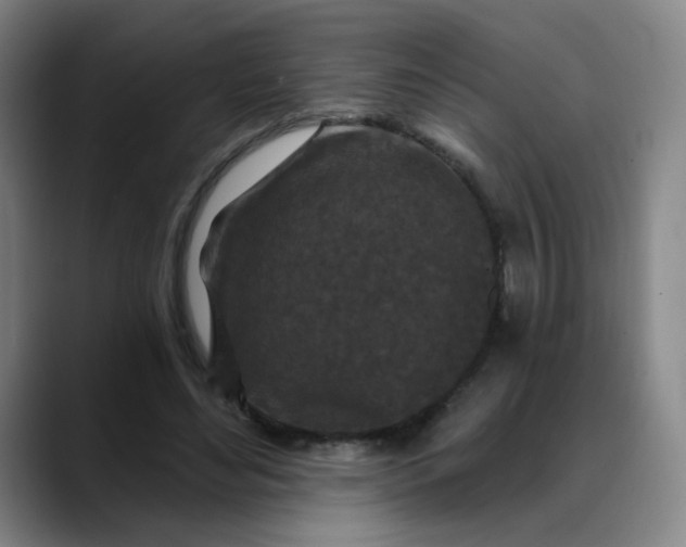 X0000088690492200706141415