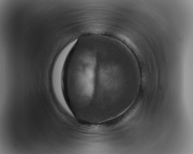 X0000088690493200706141415