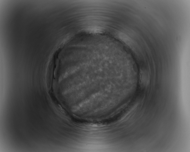 X0000088690494200706141415