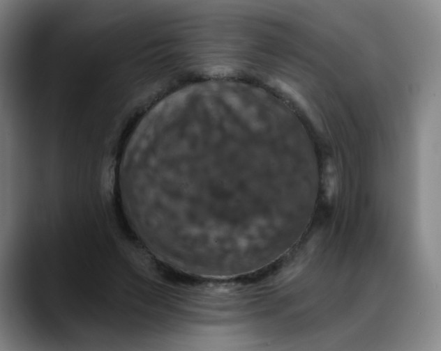 X0000088690495200706141415