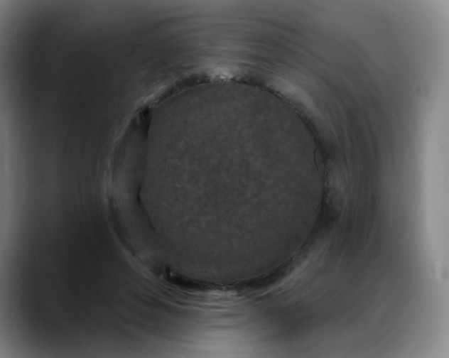 X0000088690496200706141415