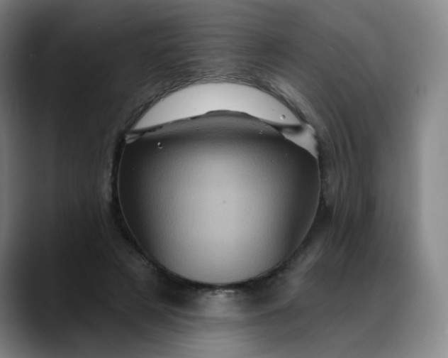 X0000088690497200706141415