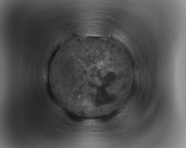 X0000088690499200706141415