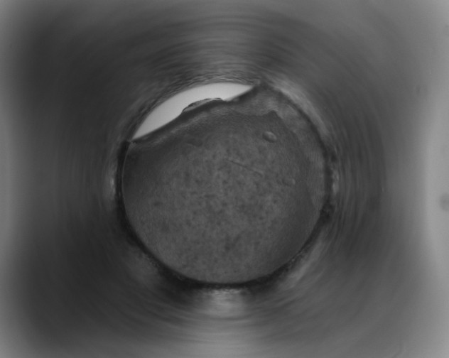 X0000088690501200706141415