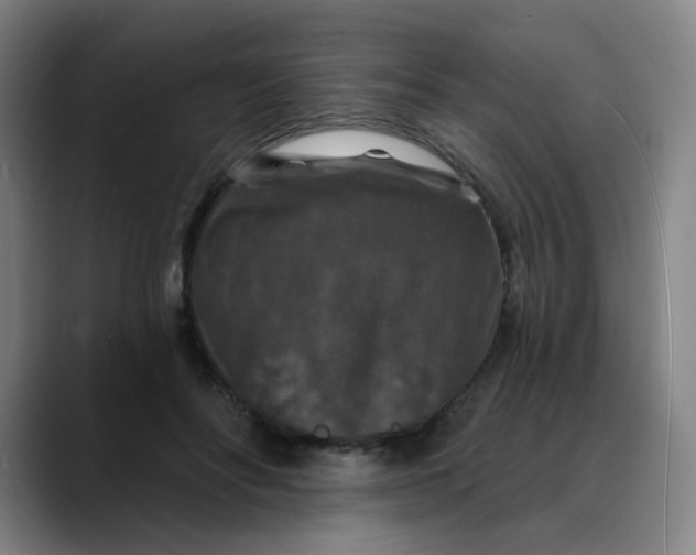 X0000088690502200706141415