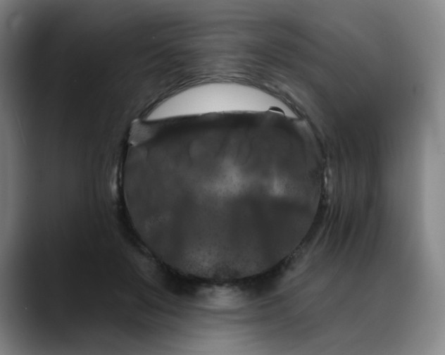 X0000088690503200706141415