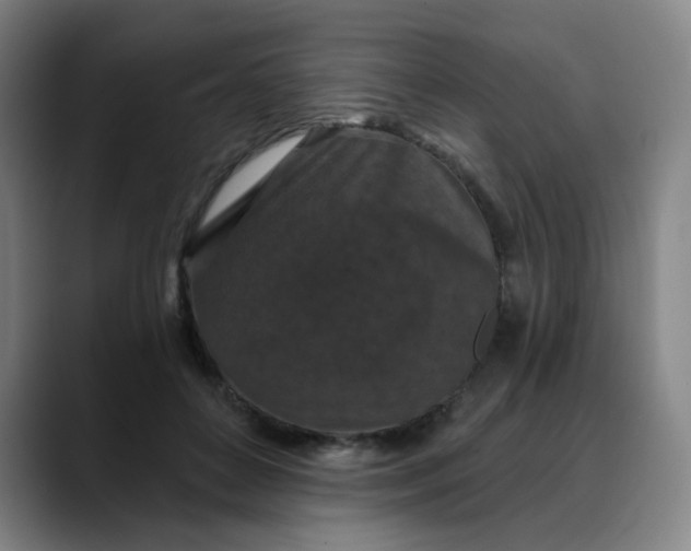 X0000088690504200706141415