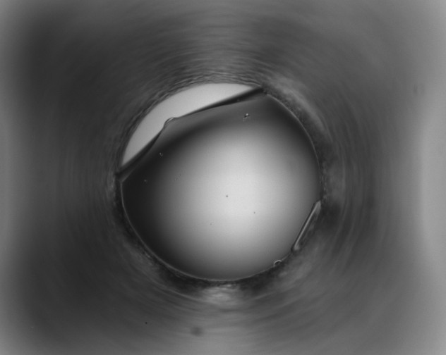 X0000088690505200706141415