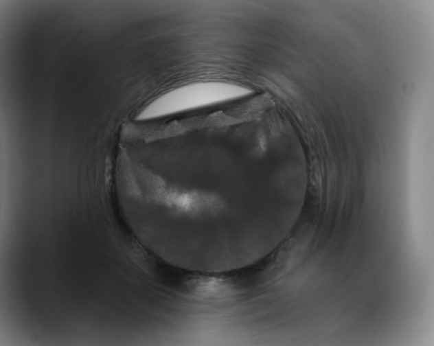 X0000088690507200706141415