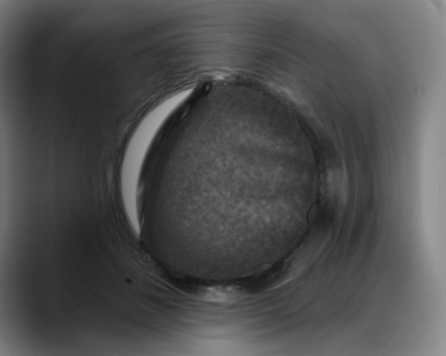 X0000088690508200706141415