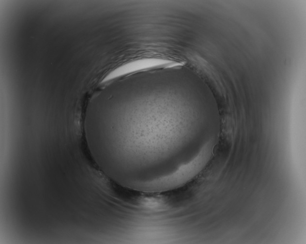 X0000088690510200706141414