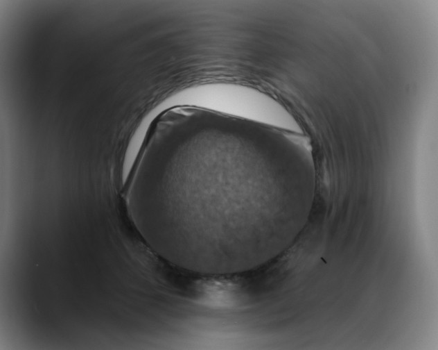 X0000088690512200706141414