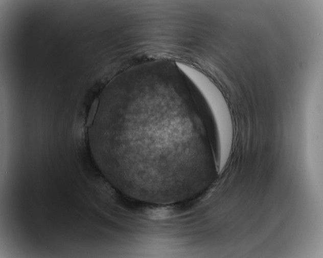X0000088690513200706141414