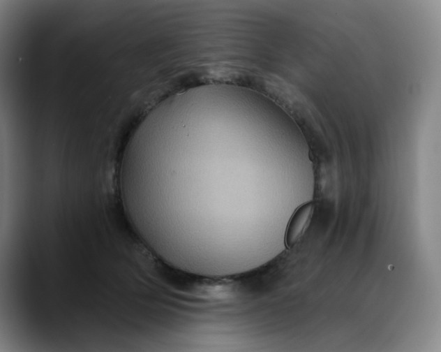 X0000088690514200706141414