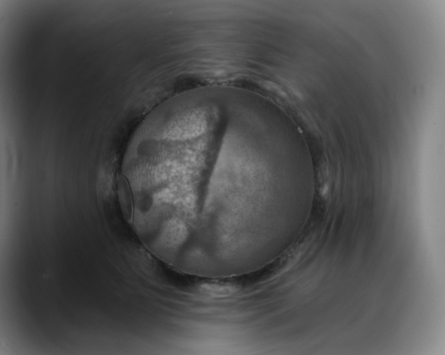 X0000088690515200706141414