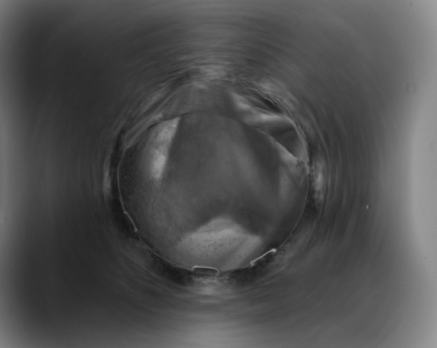 X0000088690516200706141414