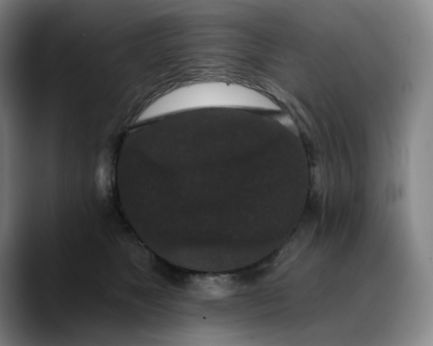 X0000088690517200706141414