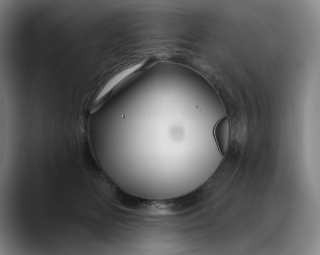 X0000088690518200706141414