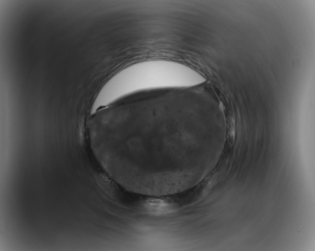 X0000088690519200706141414