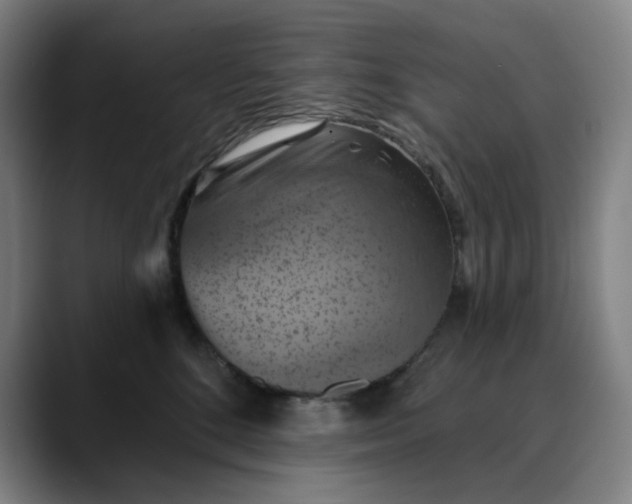 X0000088690520200706141414