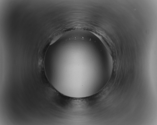 X0000088690521200706141414