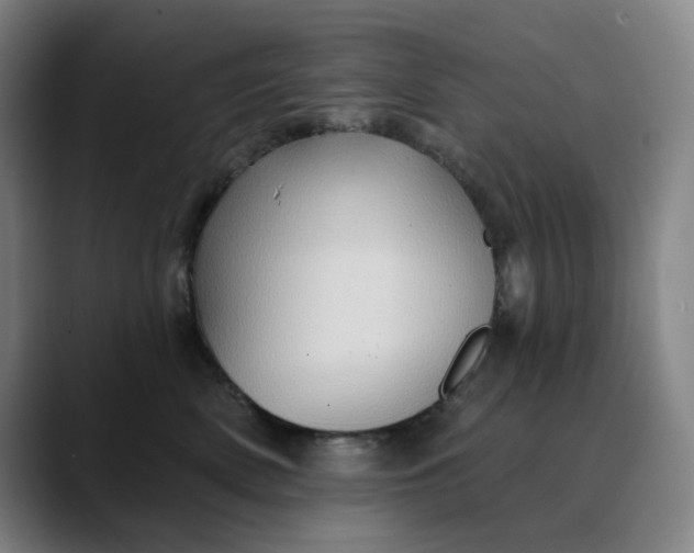 X0000088690522200706141414