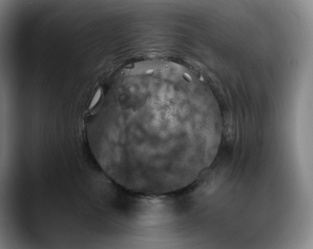 X0000088690523200706141414