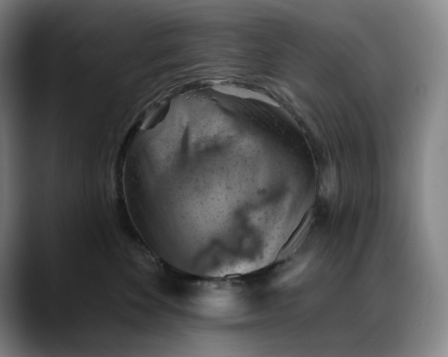 X0000088690524200706141414