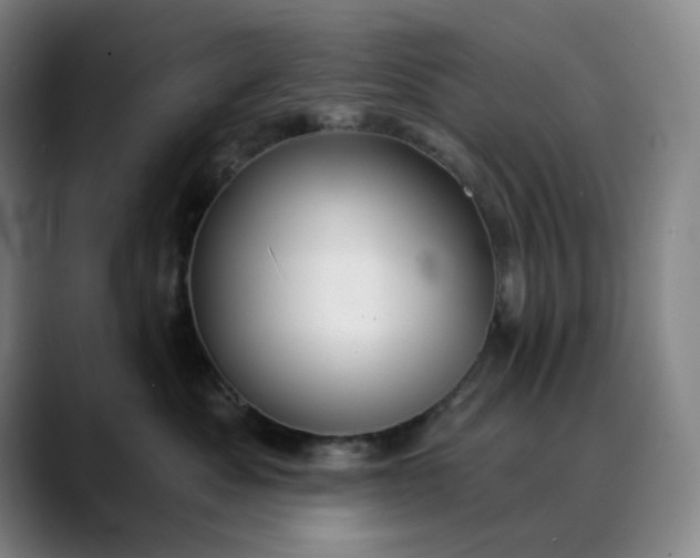 X0000088690525200706141414