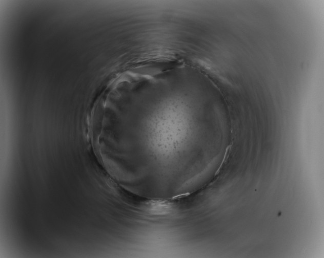 X0000088690528200706141414