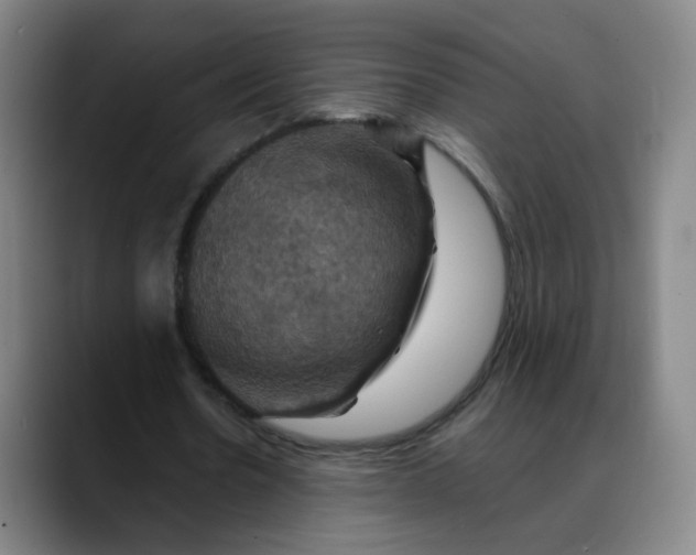 X0000088690530200706141414