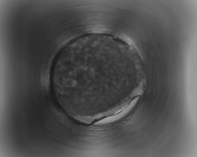 X0000088690531200706141414