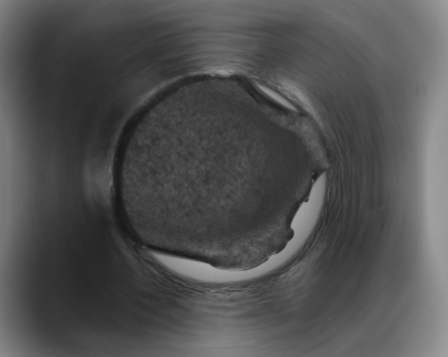 X0000088690532200706141414