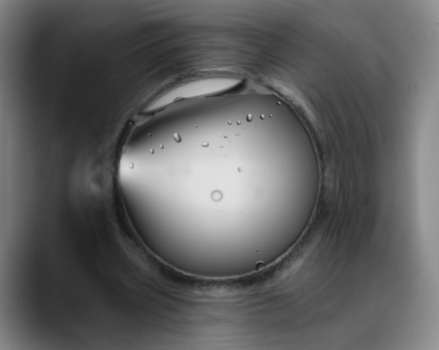 X0000088690533200706141414