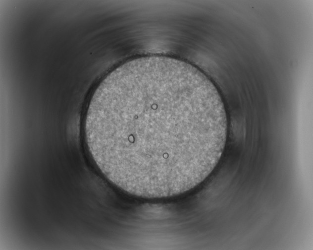 X0000088690534200706141414