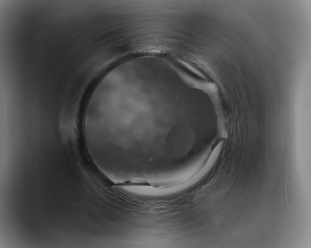 X0000088690536200706141414