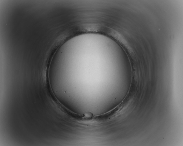 X0000088690537200706141414