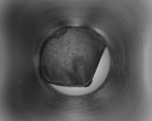 X0000088690540200706141414