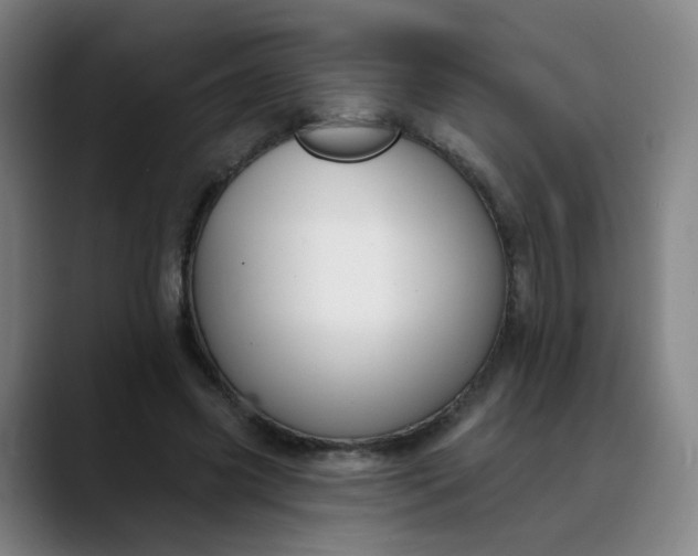 X0000088690541200706141414