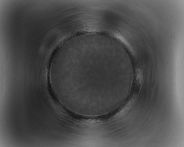 X0000088690542200706141414