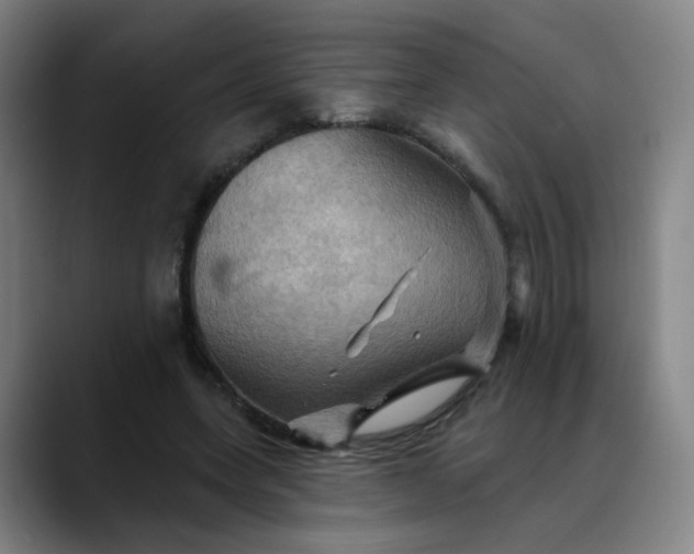 X0000088690543200706141414