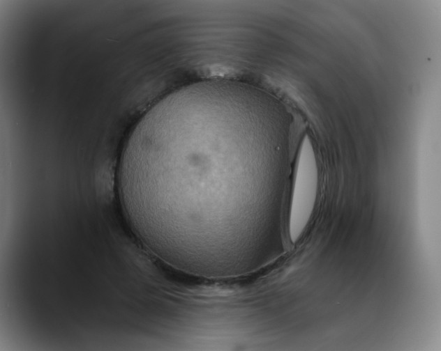 X0000088690545200706141414