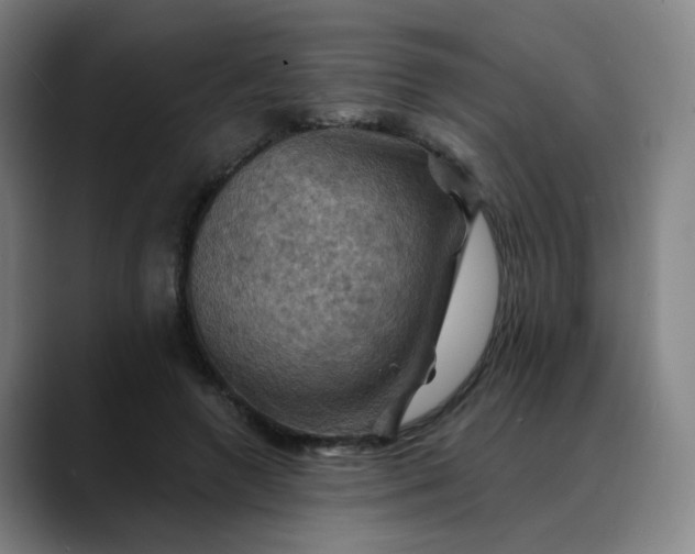 X0000088690546200706141414