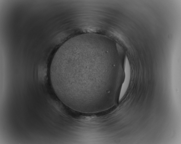 X0000088690548200706141414