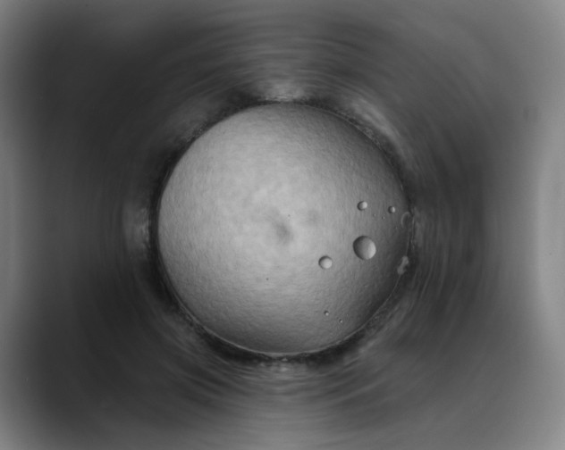 X0000088690549200706141414