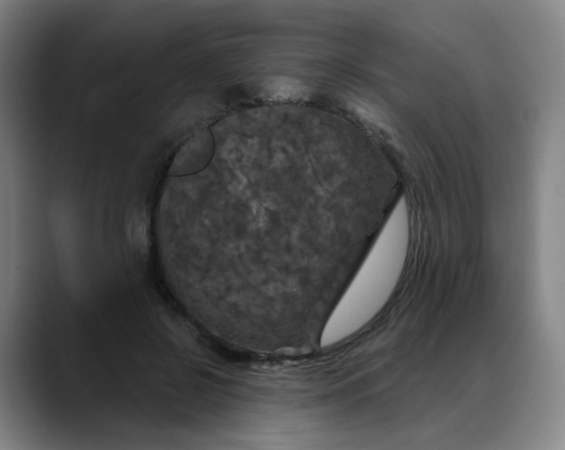 X0000088690550200706141414