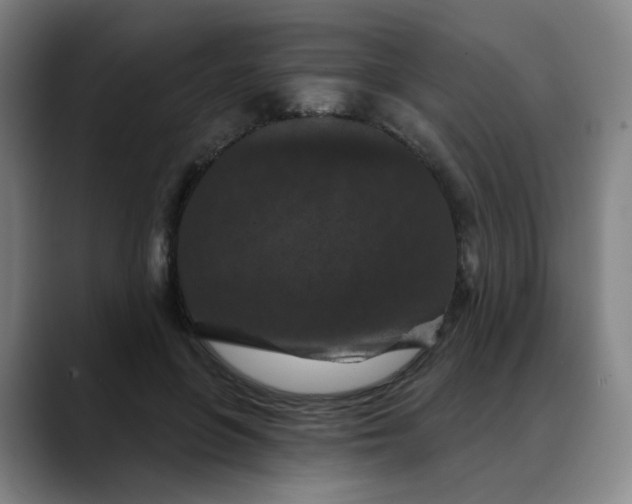 X0000088690551200706141414