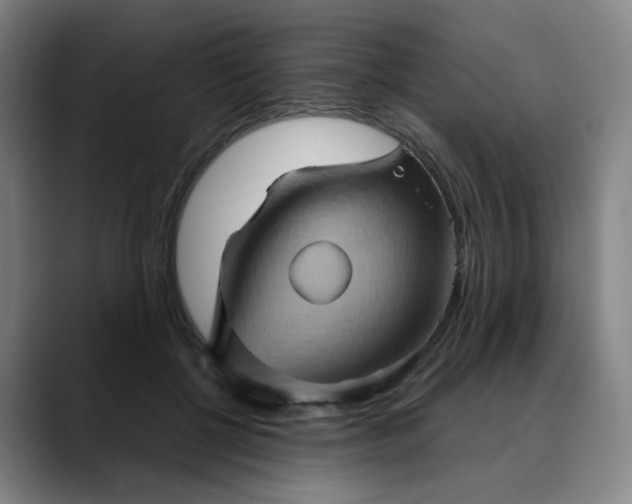 X0000088690552200706141414