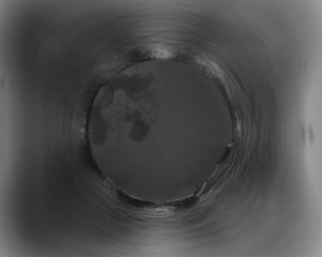 X0000088690553200706141414
