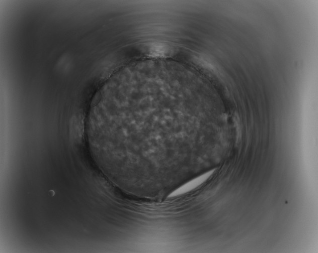 X0000088690554200706141414